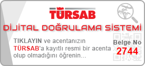 tursab dvs